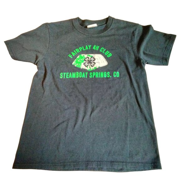 T Shirt Gray Fairplay Southpark Colorado Youth Size Large 4H club Steamboat - Picture 2 of 5